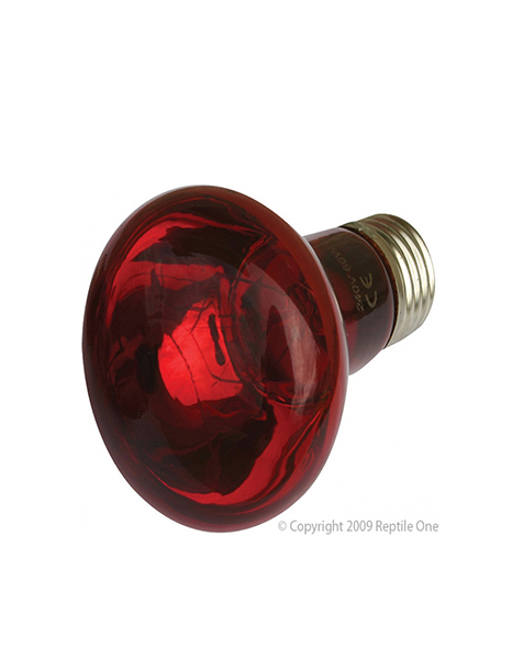 Reptile One Infrared Heat Lamp