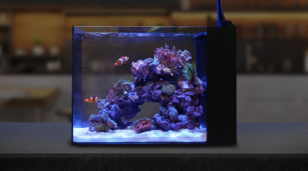 Waterbox Peninsula Mini 25 - Image 4