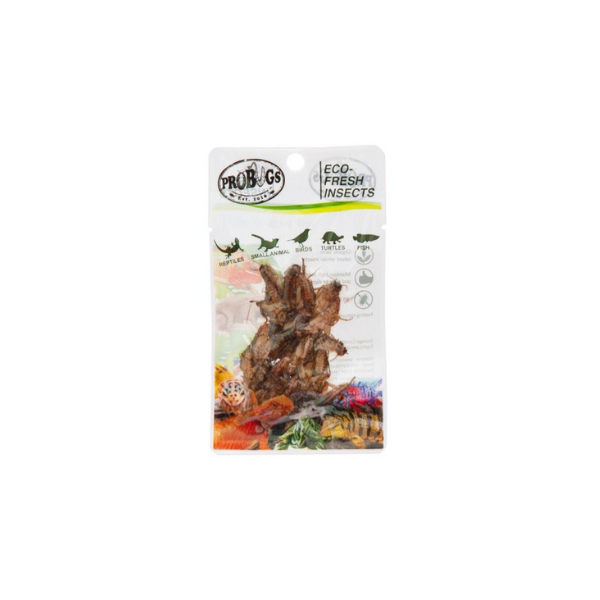 Pro Bugs Crickets