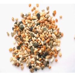 Autumn Harvest Gravel