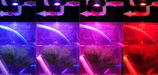 Kessil H80 Tuna Flora Controllable LED - Image 4