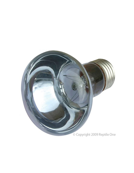 Reptile One Daylight Basking Lamp