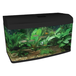 Aqua One AR980 Gloss Black Starter Package Coldwater No Cabinet
