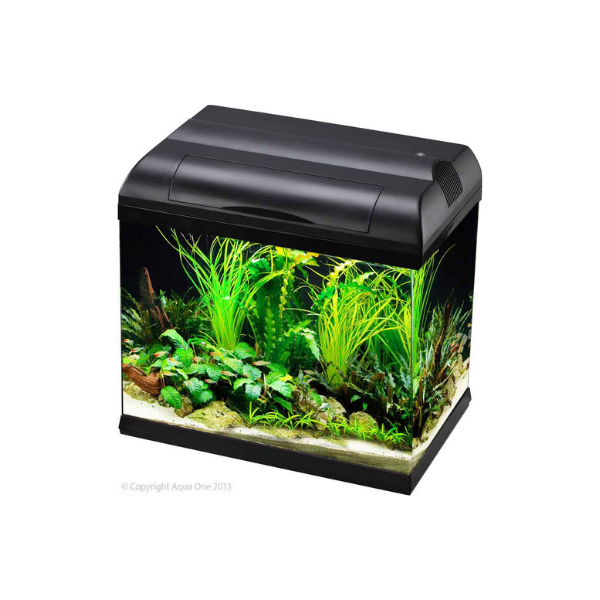 Aqua One Ecostyle 37 Black Starter Package Coldwater