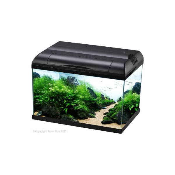 Aqua One Ecostyle 47 Black Starter Package Tropical