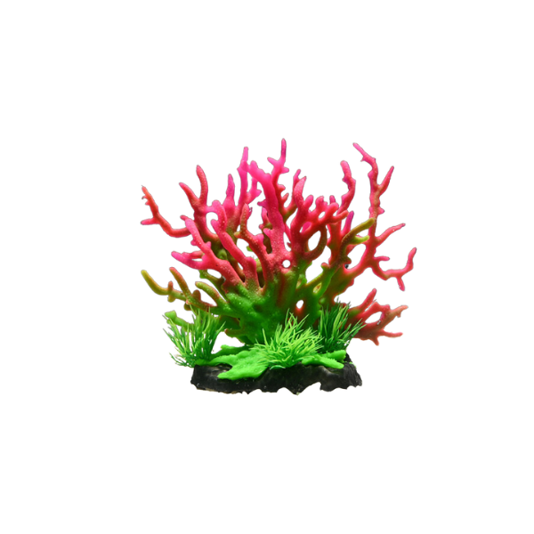 AquaWorld Plant Red Coral Tree AQP3461