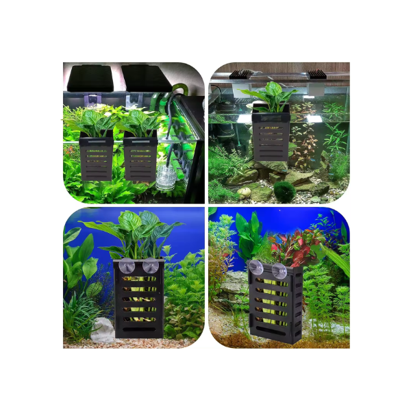Aquarium Plant Holder with Hooks and Suction Cups - Image 5