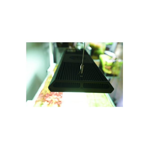 Chihiros RGB VIVID II 10th Edition | Legacy Aquatics & Reptiles NZ