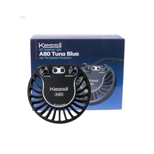 Kessil A80 Tuna Blue Controllable LED