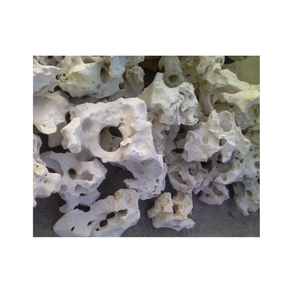 Texas Holey Rock Limestone