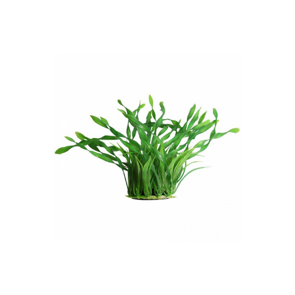 Aqua One Ecoscape Medium Corkscrew Val Green 28383