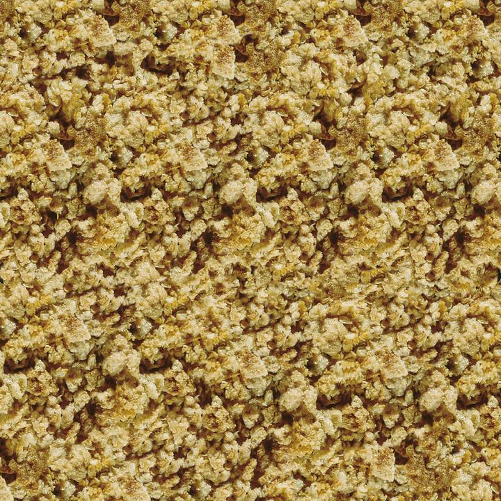 Sera FD Daphnia Freeze Dried Treats 10G - Image 2