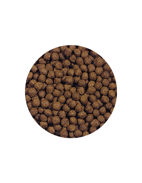 Hikari Cichlid Gold Med Pellet Sinking 342G - Image 2