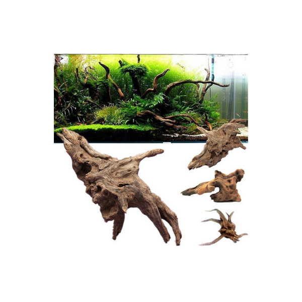 Driftwood