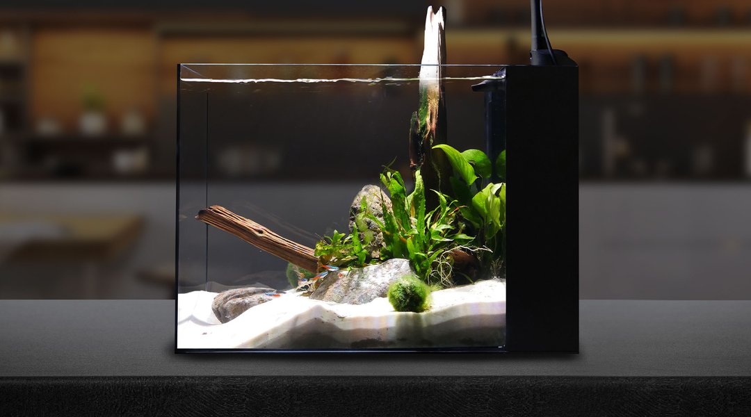 Waterbox Peninsula Mini 25 - Image 5