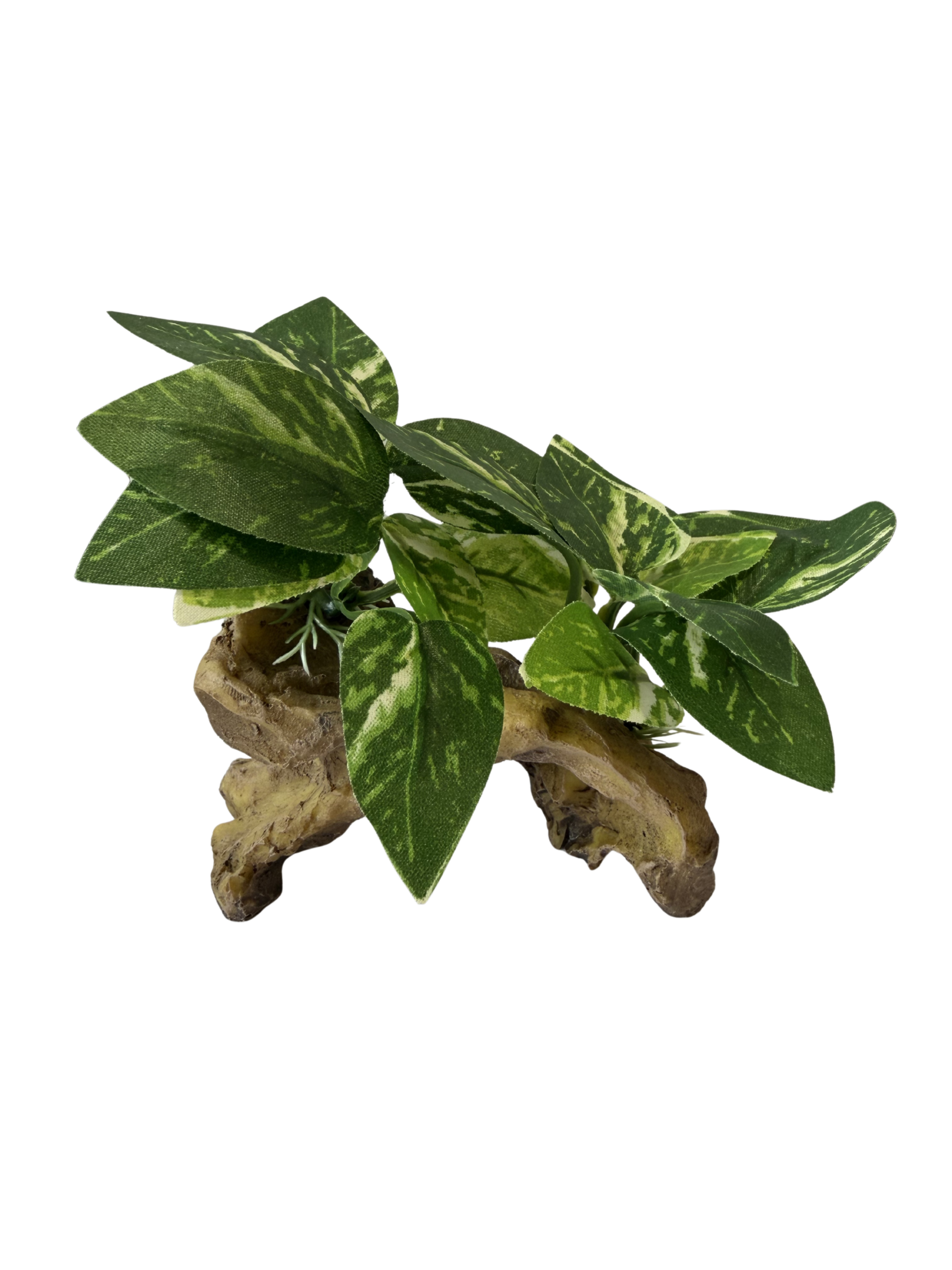 Plant on Wood Ornament