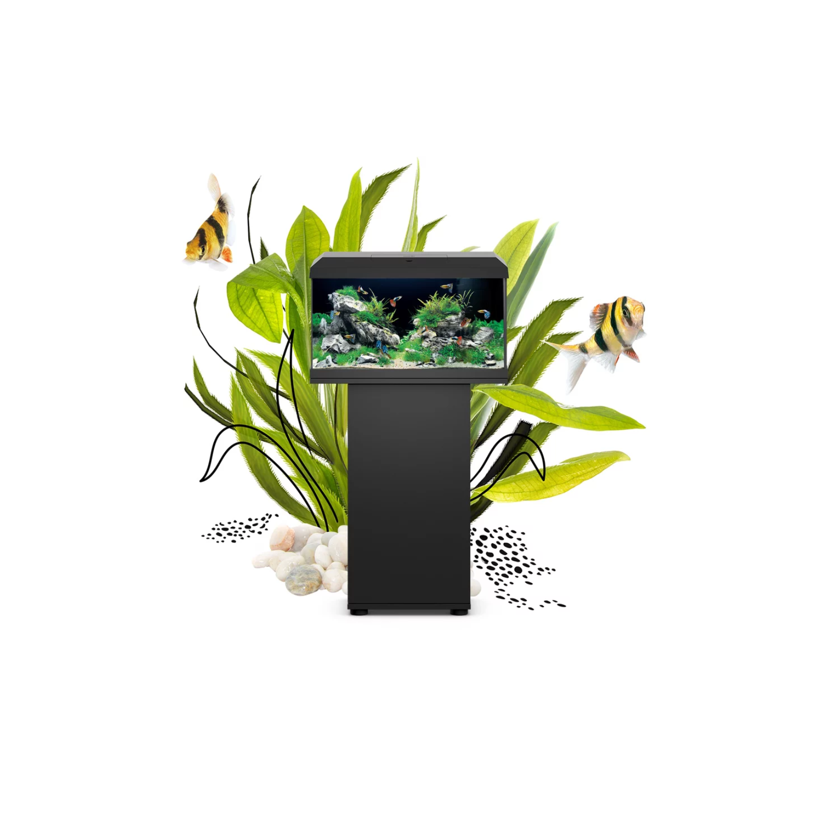 Juwel Primo 60 2.0 - Image 3